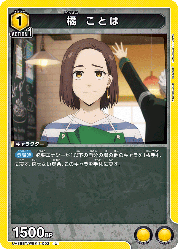 UA38BT_WBK-1-002